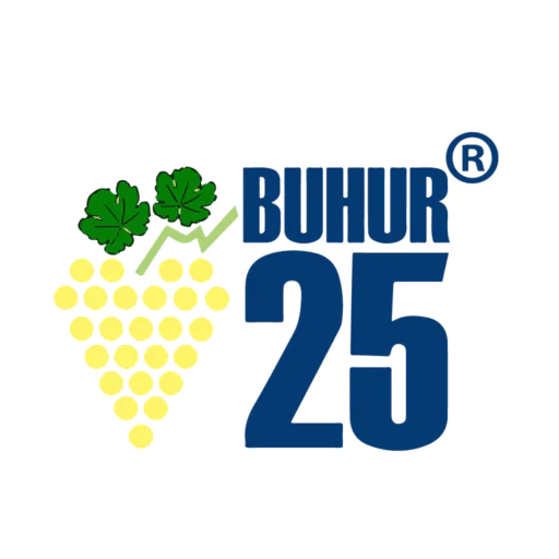 Buhur25 Orta ve Uzun Vadeli Yatırım Güncel İzleme Listesi