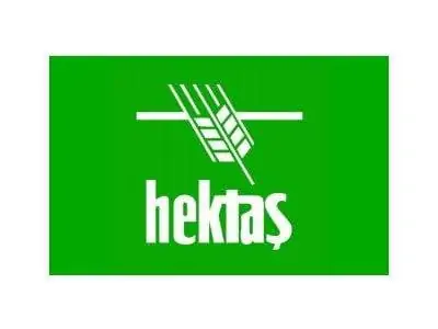 HEKTS Teknik ve Temel Görünüm